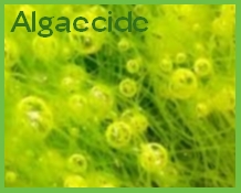algaecides
